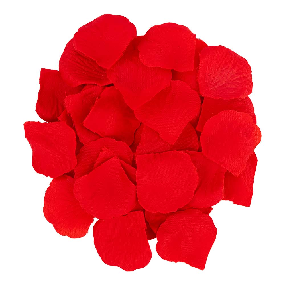 534101-VALENTINES-ROSE-PETAL-120PK-v2